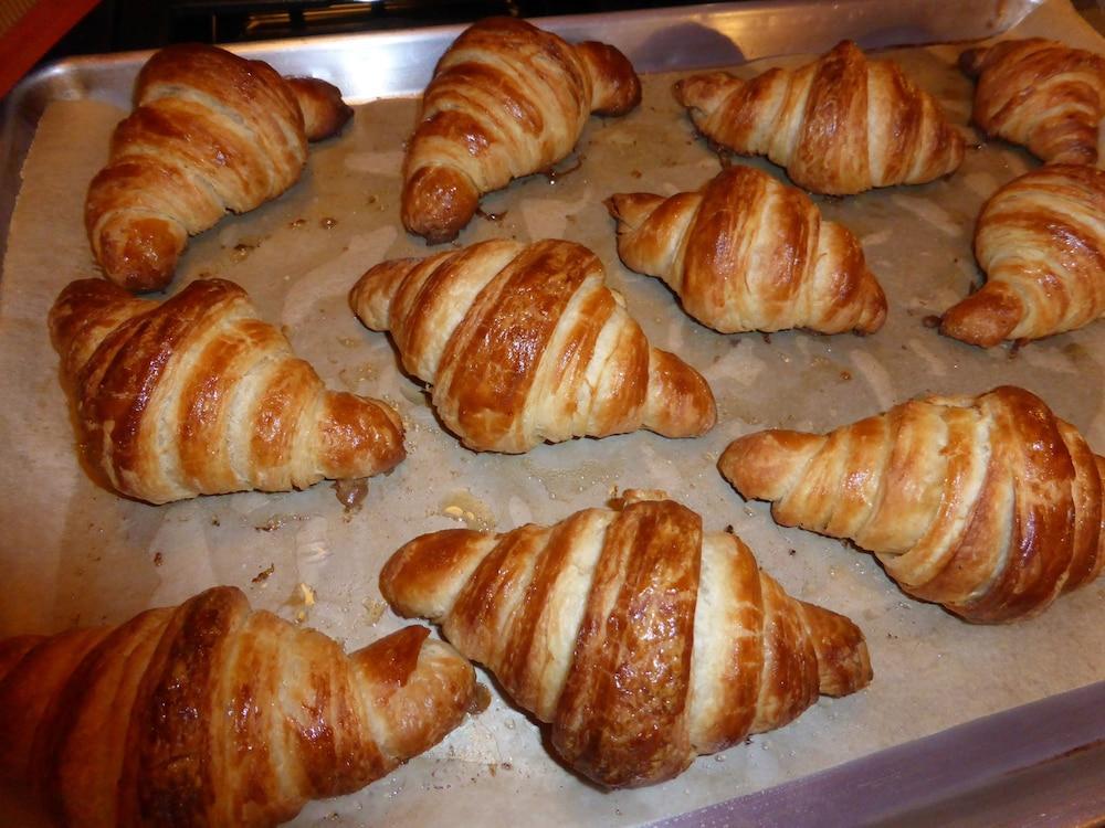 Sweet Biscuit Inn 애쉬빌 외부 사진